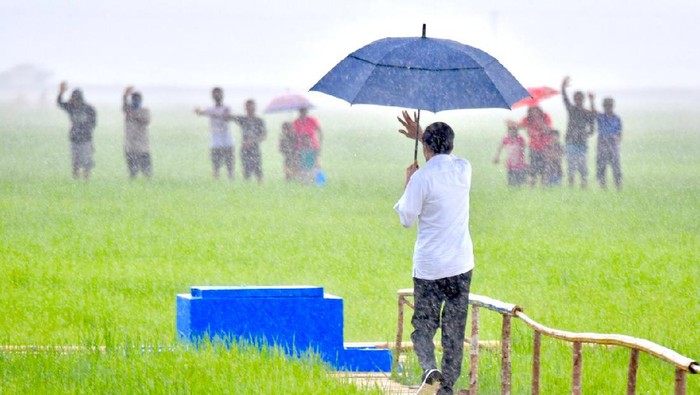 “Food Estate” IKN, Proyek Demi Pencitraan?